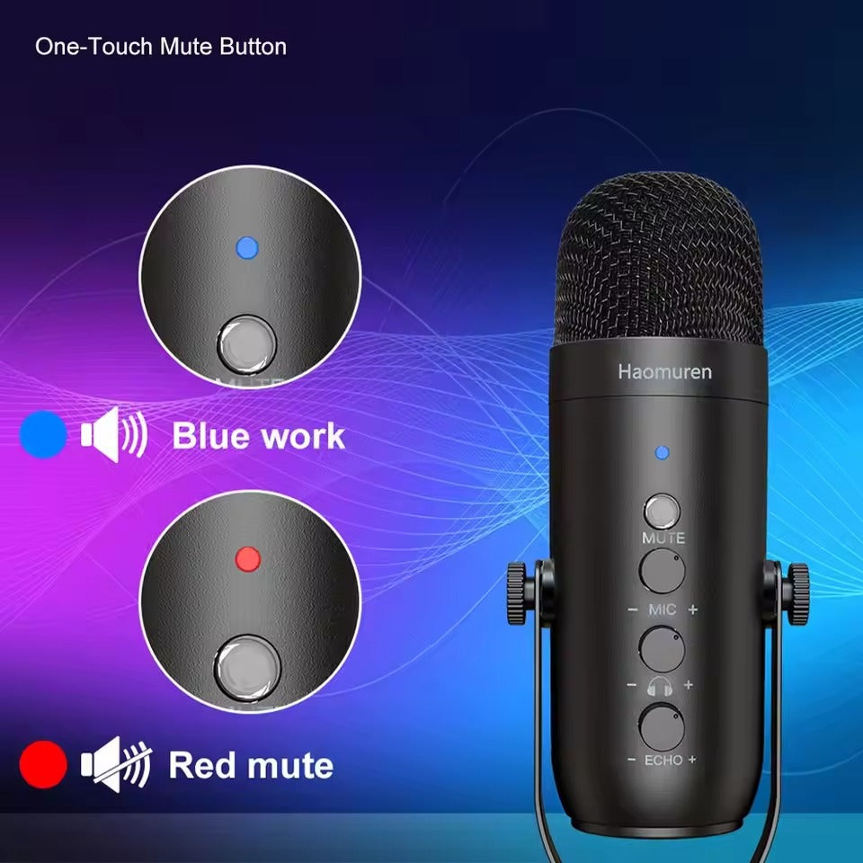 Haomuren USB Condenser Microphone Kit
